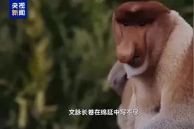 互鉴丨中越友谊长青“同志加兄弟”地缘相近人缘相亲图片