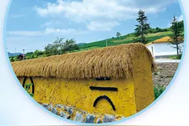 吉林省白山市临江市推动传统村落集中连片保护利用——山环林间村连片 关东风情绘新篇（走进传统村落）图片