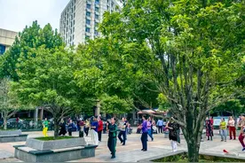 今年来得早一些，武汉第一波桂花已经绽放图片