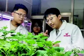 潍坊科技学院：在学生心里种下创新创业的种子图片
