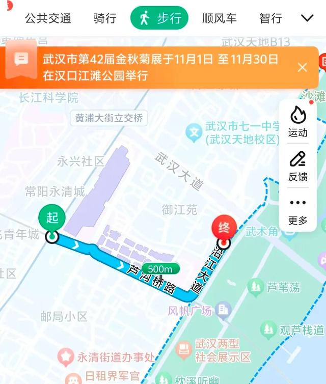 坐地铁，打卡武汉第42届金秋菊展