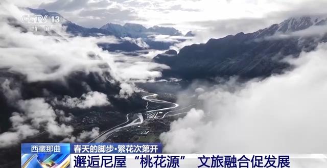 南北春花次第开放 “赏花经济”解锁农文旅融合新业态