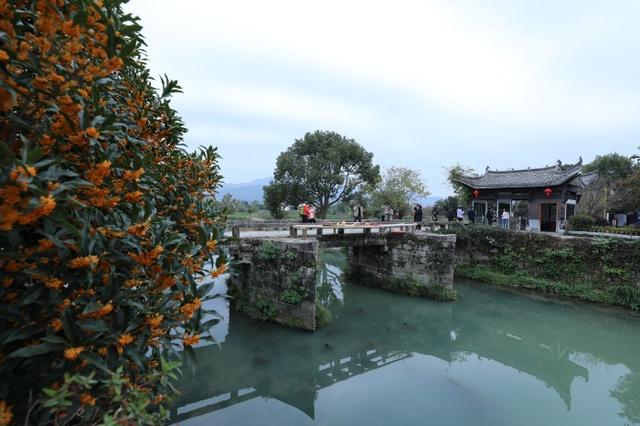 黟县：卢村秋色引客来（组图）