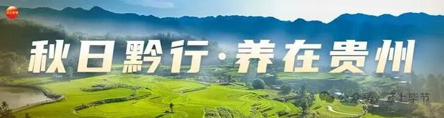 毕节这个景区，又传好消息！