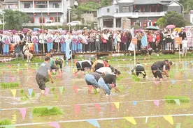 热闹“开秧节”图片