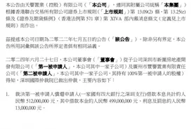 5亿借款难倒广州老牌房企，深圳项目被仲裁抵债图片