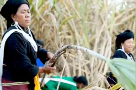 远销海外的环保餐具“有点甜”图片