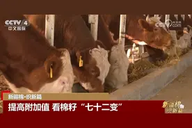 “硬核”科技力量助力新疆棉“七十二变” 为幸福生活增光添彩图片