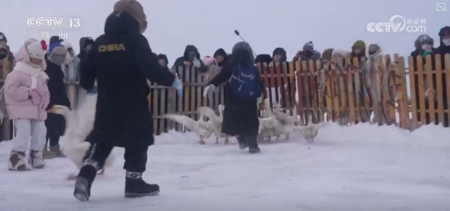 “冷”赛道激发产业发展“热”活力 “冰雪+”掀起冬季消费新热潮