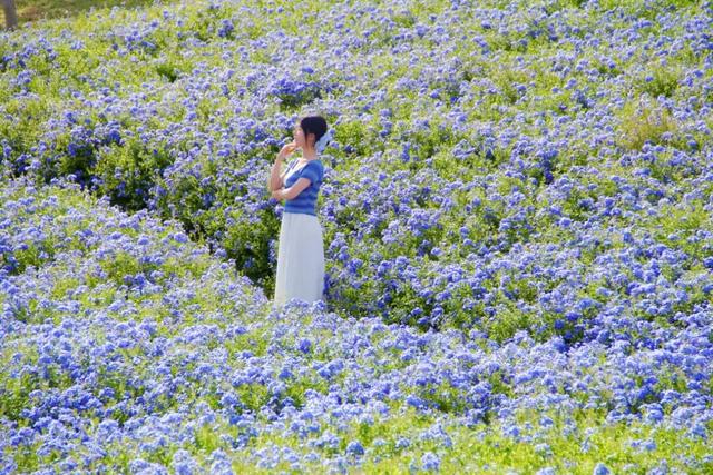 寒露凝秋色 花绽景常新