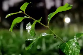 在泉城街头，记录平常的一天图片