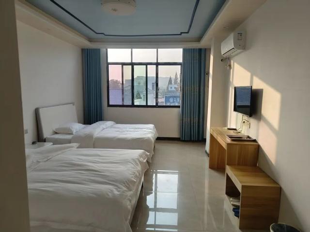 【遂川乡村游】“不去衙前看猛楠，游遍遂川也枉然”附新江古树秘境