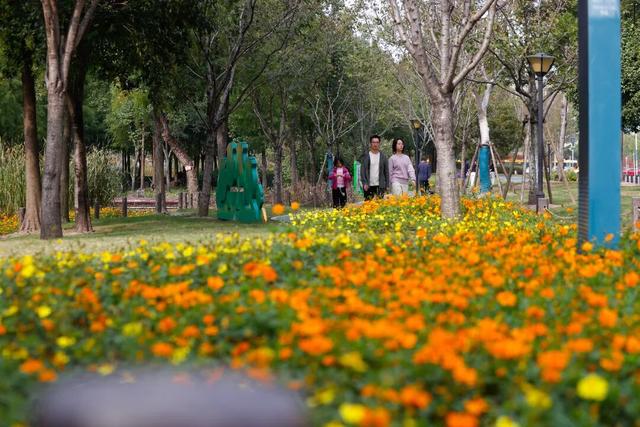 松江这里的健身步道变身金色走廊，快来打卡→