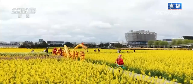 把春天的欢乐气息带进每一寸花田 赴一场限定春日浪漫