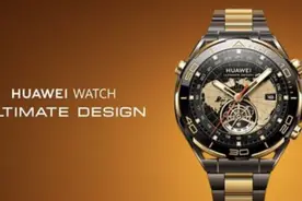 华为2万元手表有多少“含金量”？ 智能手表最怕“年年不变样”图片