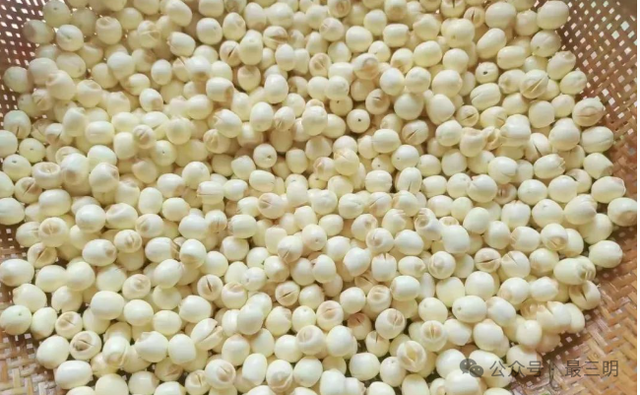 跟着演唱会游三明 | 绿都的舌尖风味与人文温度，等你来pick！