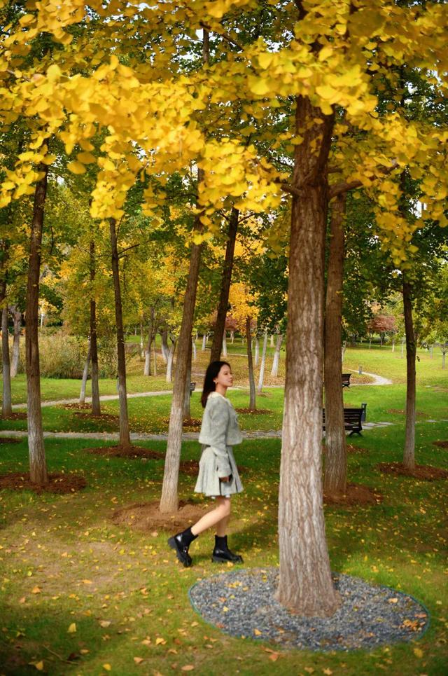 绝美！走，打卡去！