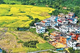 秋分：秋色平分 养阴补津图片