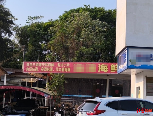 广西钦州三娘湾 “出海观豚” 乱象：十余艘船围堵，小海豚遭追后死亡，有船长称看不到退票，怕亏钱不停追