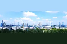 潍坊最大民企实控人变更，肖爱英成弘润石化实控人图片