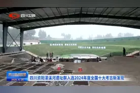 四川新闻联播丨四川资阳濛溪河遗址群入选2024年度全国十大考古新发现图片