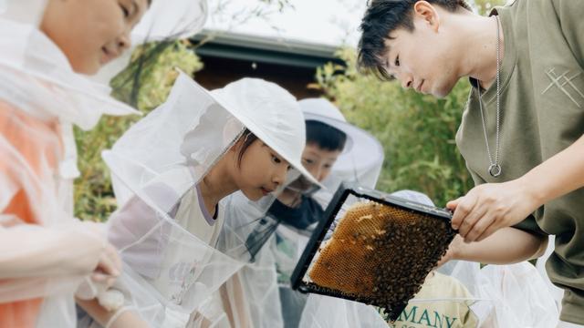倡导环保与在地文化体验，“可持续住宿”重新定义高品质旅行
