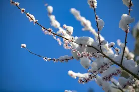 开学第一天，需要给孩子多穿不？图片