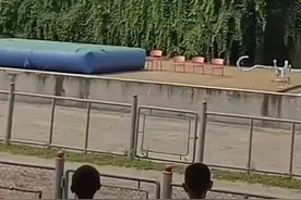 吉林东北虎园杂技演员高空坠落，园区称已送医！当地展开调查图片