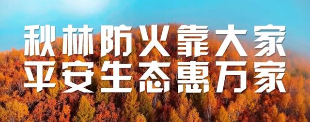 海拉尔⇋加格达奇航班又双叒叕升级了！每周六班→