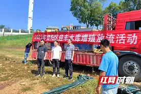 资阳区迎风桥镇：增殖放流鱼苗7万尾 促水域生态修复图片