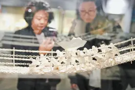 百余国礼珍品集结工美博物馆图片