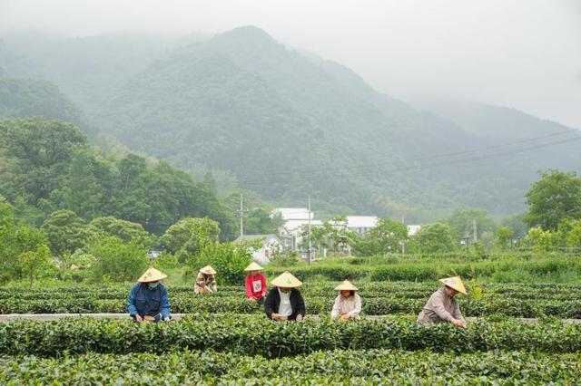 安徽、盐城、长沙都说自己是入境旅游下一站，究竟谁接住了流量？