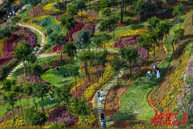 邵东：畅游百亩“花海”，欢度国庆假期图片