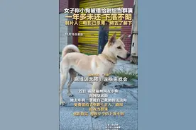 女子称小狗被借给剧组当群演 一年多未还，下落不明 制片人：电影已杀青，将去了解下图片