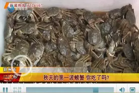 @荆州市民 秋天的第一波螃蟹，你吃了吗？图片