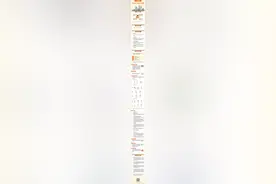 定了！2025年广州中考报名2月25日开始图片