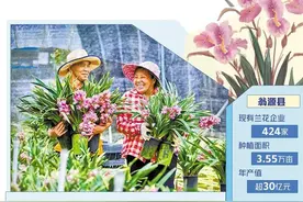 广东翁源——兰花香溢五业兴图片