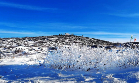 中国最冷小镇的暖意之旅——呼中区文旅全攻略
