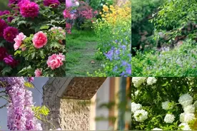 无锡神秘花园！ 99%本地人还没去图片