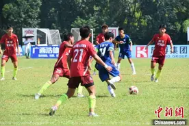 广西青少年足球锦标赛（男子组）收官 逾800名运动员绿茵逐梦图片