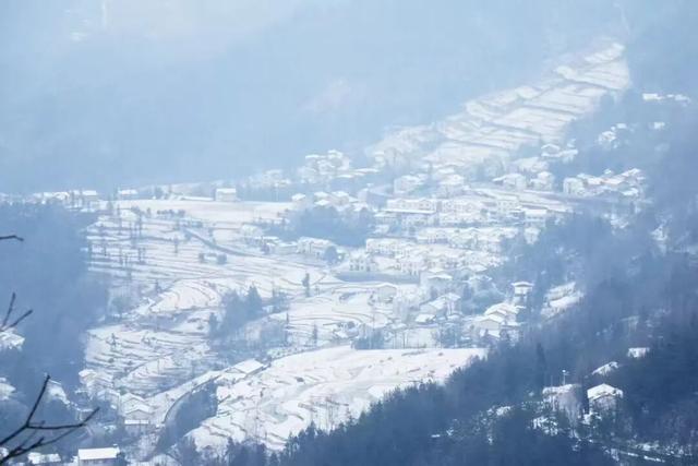 刚刚！凤凰山下雪啦！是真的！