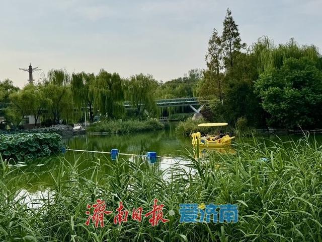 一年四季 泉在济南丨乘船赏景如入画 惬意度秋正当时