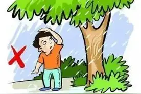 降雨频发！步行、骑行、驾车出行，需注意什么？图片
