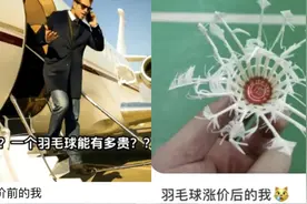 羽毛球价格暴涨，竟然是因为猪肉降价？图片