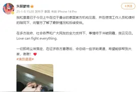 王星女友嘉嘉晒牵手照：我和星星已见面图片