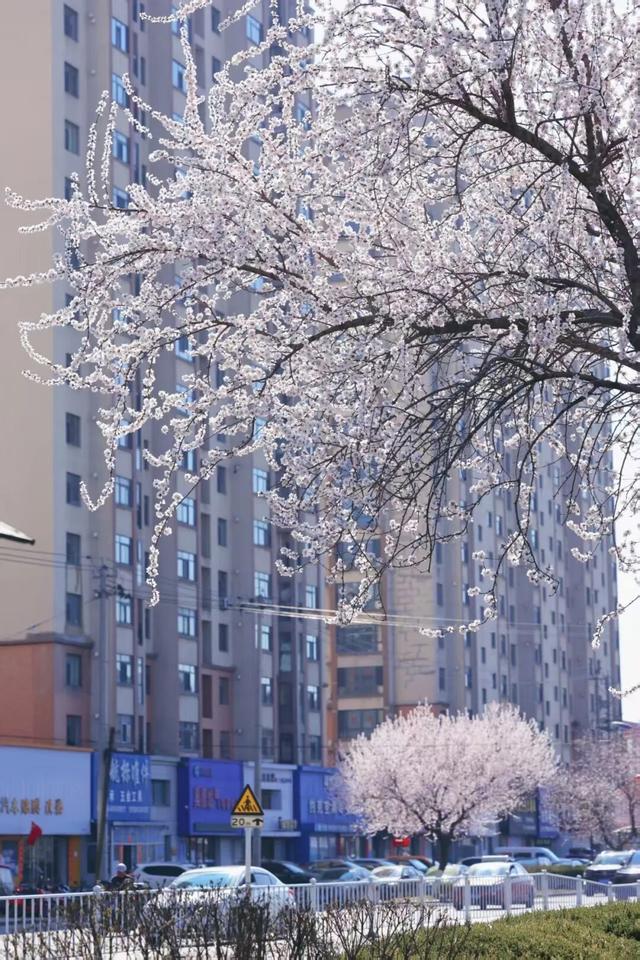 “动”“静”两相宜～颜值天花板～