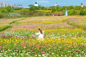 武汉秋游天花板，千亩彩虹花海限时上线！图片