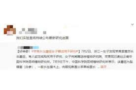 苹果长出蘑菇，中科院博士“求购”！后续来了……图片