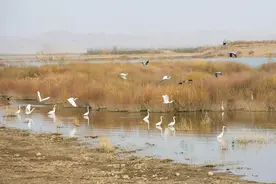 “三北”工程 | 甘肃民勤绿洲治沙模式图片