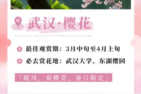 转发收藏！2025年春日赏花时间表图片